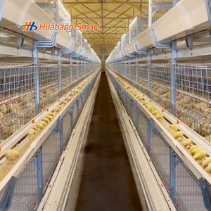 Système de cages automatiques pour poulets de chair galvanisé à chaud avec mangeoire automatique intégrée, abreuvoir et système d'évacuation <span class=keywords><strong>des</strong></span> excréments - Product Image 3