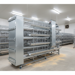 Nuevo Sistema de Jaulas de Cría de Pollos Metálicas AYTAV de Alta Productividad con Alimentación Automática, Dimensiones de Celda de 60x60cm y Diseño Tipo H - Product Image 3