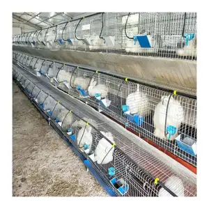 คุณภาพสูงอัตโนมัติที่กำหนดเอง Bred กรงกระต่ายสำหรับ Poultry Farming อุปกรณ์