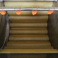 Industriële borstelrolwasmachine voor fruit- en groenteverwerkingslijn, multifunctioneel SCHILLEN