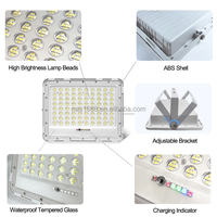Projecteur Solaire LED 50W-800W à Prix Usine, 3200LM, Étanche IP66, pour Jardin, Télécommande, Intensité Variable, Garantie 2 Ans, 50000