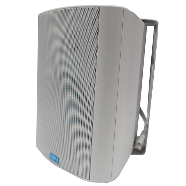 School Mosque Hotel IP Wall Speaker 50W 8-Inch RGB LED DC Powered Built-in Amplifier Optional SIP/POE/WiFi Computer Use