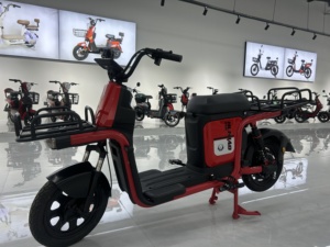 Scooter Eléctrico de Fábrica 2025, 2 Plazas, 48V, Bicicleta Eléctrica con Cargador - Product Image 2