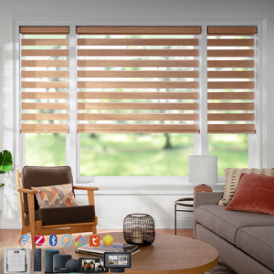 Persiana enrollable de cebra motorizada, precio asequible, persianas <span class=keywords><strong>enrollables</strong></span> de cebra para ventana de oficina, persianas de cebra de doble capa - Product Image 5
