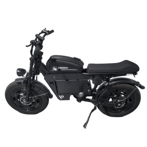 Vélo électrique 20 pouces en acier au carbone avec batterie au lithium fer phosphate, assistance au pédalage électronique sans balais, 7 vitesses, moyeu arrière 48V double - Product Image 2