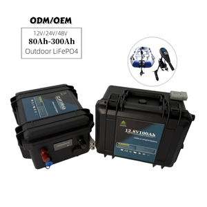 Batteria Al Litio 12V/24V 100Ah-200Ah Per Barca E Motori Elettrici – Con BMS E Caricabatterie