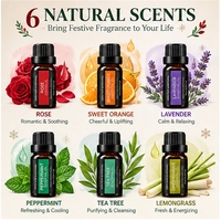 Minyak untuk parfum Grosir Beli Difuser Aromaterapi Organik Alami Murni Kelas Terapi Mawar Tea Tree Lavender