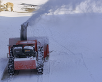 Robot chenillé télécommandé à direction réglable pour l'élimination de la neige, avec pelle à neige et charrue à neige, pour usage agricole