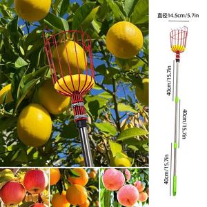 Outil de cueillette télescopique en acier galvanisé à long manche pour pommes et oranges, avec panier de récupération, cueilleur de fruits - Product Image 3