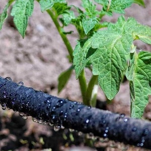 High-Pressure Heavy-Duty Garden Flexible Seepage PE Rubber <strong>Soaker</strong> Watering Drip <strong>Hose</strong> for Irrigation System Sprinkler <strong>Hose</strong> - Product Image 6