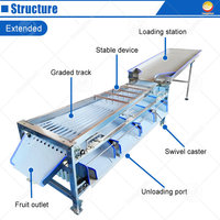 Machine de tri et de calibrage industrielle ORME pour olives, pommes de terre, citrons, fruits, tomates, lavage et tri