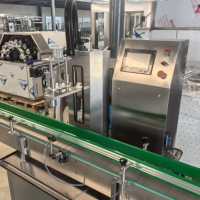 Machine de remplissage entièrement automatique et personnalisable pour liquides à haute viscosité (miel, sauces, confitures) avec pompe à rotor à servomoteur et têtes personnalisables