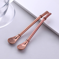 Paille à boire en acier inoxydable, cuillère, filtre à thé, pailles à thé Yerba Mate, gourde, outils à thé réutilisables, accessoires de bar