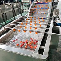 Volledig automatische wasmachine voor bladgroenten en fruit met luchtbel-sproeisysteem, geschikt voor sojabonen & tarweverwerking, SUS304 materiaal