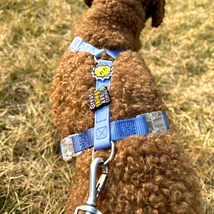 Arnés para perros y gatos de alta resistencia ajustable de lujo con logotipo personalizado de diseñador al por mayor con dijes - Product Image 6