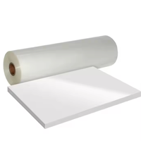 Rollos de Película de Transferencia de Calor DTF, Hojas de Etiquetas Autoadhesivas Imprimibles, Removibles y Reutilizables en Tamaños A3 y A4