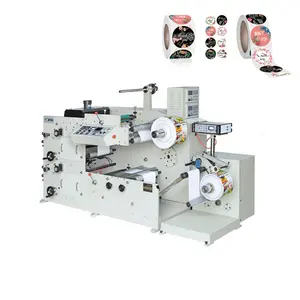 HJRY-850 2-farbiger Servomotor Kaltprägung automatisches Beladung Flexo-Druck Pet-PvC-Bopp-Papierfolie Flexografie-Druckermaschine