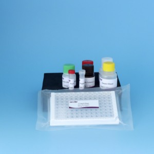 Ngựa viêm động mạch virus kháng thể Elisa Kit | eav gián tiếp kiểm tra | 96t thú y Kit chẩn đoán - Product Image 5