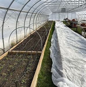 Nhỏ trong nhà PVC PE nhà kính cho nhà máy pop-up mặt trời đường hầm cho dâu tây áp lực điều trị gỗ khung kim loại có sẵn để bán - Product Image 5