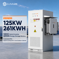 Dış Mekan 125kW 261kWh LiFePO4 Enerji Depolama Kabini ESS, Ticari Güneş Enerjisi Sistemleri için Önceden Monte Edilmiş Hibrit İnvertörlü