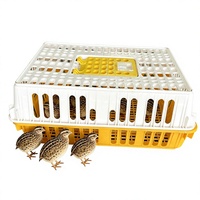 Caisse de transport pour poulets en plastique empilable et robuste, cage de transport durable pour volailles à usage agricole