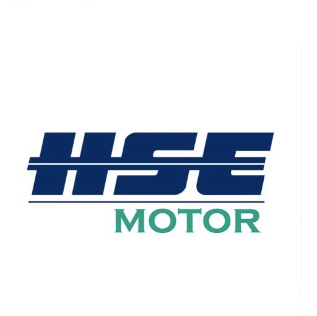 Changzhou Hswiss Motor Technology Co., Ltd. logo