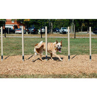 Équipement de terrain de jeu d'entraînement de parc de chien Teeter Totter