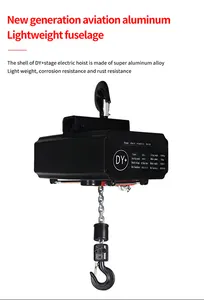 High Quality 2 Phase Electric Stage Electric Hoist 110V 220V With Factory Price