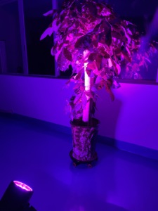 Alta calidad IP65 impermeable LED etapa luz 18PCS RGBW 4 en 1 haz proyector DMX512 Control - Product Image 4