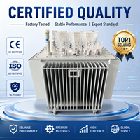 350 KVA 400 KVA Elektrik Güç Trafosu 25 KVA 50 KVA 100 KVA 300 KVA 3 Faz Yağlı Elektrik Trafosu 250 KVA