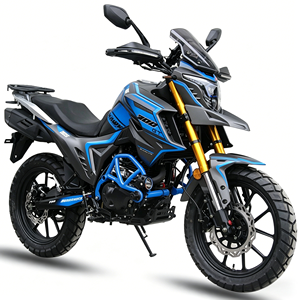 ¡Oferta! Motocicleta Todoterreno 250cc con Enfriamiento por Aceite, Motor Loncin FE250, Modelo Tekken300 300cc, Precio Mayorista 2026 - Product Image 1