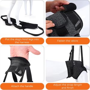 Hiphoppet Lift <span class=keywords><strong>Harness</strong></span> Fornecer Suporte com Atrofia Muscular e Problemas Articulares para Idosos Feridos Artrítico Pet <span class=keywords><strong>Dog</strong></span> Sling - Product Image 3