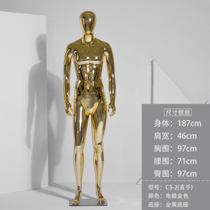 Manichino Maschile in Plastica Dorata <span class=keywords><strong>a</strong></span> Corpo Intero con Testa - Product Image 5