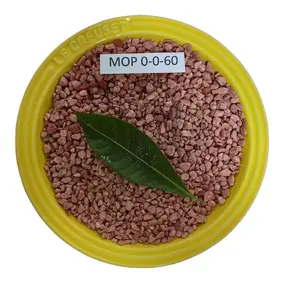 Fertilizer for Agriculture Red Granular Potassium Chloride Kcl 60% Mop Muriate of Potassium