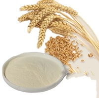 Poudre de fibres d'avoine naturelle, ingrédient riche en bêta-glucane pour les produits nutritionnels