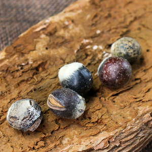 Bodhi Seed Beads Raw Undrilled Round 500g For Prayer Beads Crafting Hangzhou Origin Spring 2025 Polished Scattered Beads - Product Image 3
