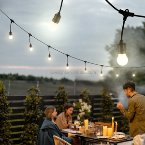 Гирлянда-подвеска для улицы, сада, Рождества, 110-220В, цоколь E27, черный провод, водонепроницаемость IP65, соединяемая, гирлянда-фестон - Product Image 3