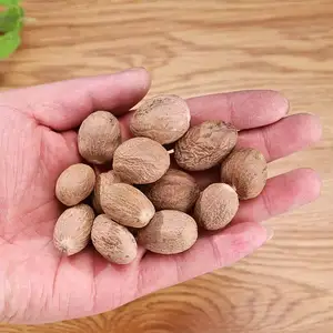 Wholesale Cheapest Price Tropical Region Spice And Medicinal Plant Nutmeg