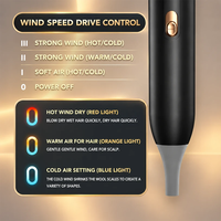 Sèche-cheveux NTC avec système de contrôle intelligent de la température, chaleur stable, réglage automatique, pour usage domestique et professionnel, kit complet