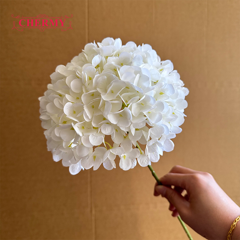 #1 hortensia blanc à grosse tête - 18 cm