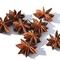 Offre Spéciale : Échantillon de Graines d'Anis Étoilé Séché AD, Mélange de Plantes Aromatiques Chinoises BAJIAO