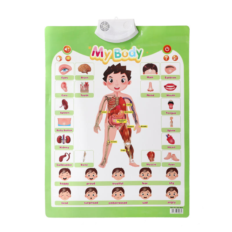 Version anglaise des parties du corps