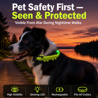 Correa Luminosa LED de Cocodrilo de Alta Calidad para Mascotas, Novedad de Halloween, Recargable por USB Tipo-C, Accesorios para Perros