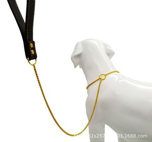 环保不锈钢狗项圈和牵引链，用于刺激训练行走 - Product Image 5