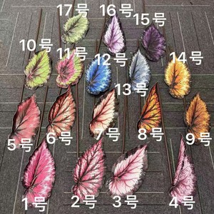 ใบเบโกเนียประดิษฐ์ Secret Garden ทำจาก EVA มี 17 สี สำหรับตกแต่งงานแต่งงานและจัดดอกไม้ - Product Image 1