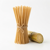 Pailles en canne à sucre de grand diamètre (8 mm, 12 mm) pour smoothies - Pailles biodégradables en bagasse pour bubble tea et jus épais