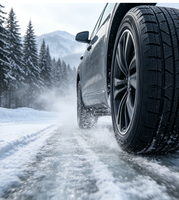 Neumáticos de Invierno para Automóviles al por Mayor, 275/40R20 285/40R20 295/40R20 315/35R20, para Automóviles de Pasajeros y SUV