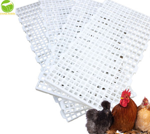 Filet de poulet en <span class=keywords><strong>plastique</strong></span> <span class=keywords><strong>rigide</strong></span>, dur, vert, blanc, noir, pour plancher de volaille - Product Image 4