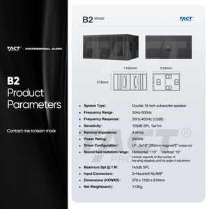 Subwoofer professionnel double 18 pouces 2400W puissant à forte pression sonore pour spectacles en extérieur - Meilleures ventes - Product Image 3