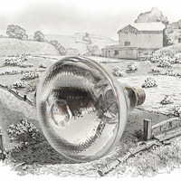 Lampe chauffante infrarouge étanche blanche à points pour l'élevage, couveuse pour animaux de compagnie, poulets, porcs, état neuf, garantie 1 an, usage domestique